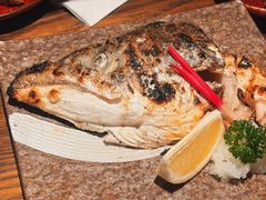 烤鲜三文鱼头-鸟屯(三里屯店)
