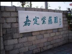 -嘉定紫藤园