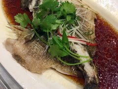 -红城阁·上海味道(四平路店)