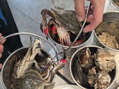 -半岛听涛蒸汽海鲜自助(K11店)