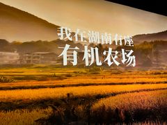 -湘颂·湘味家宴(侨鑫店)