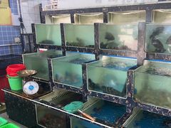 -众味海鲜大排档·活海鲜·潮汕味(南澳店)