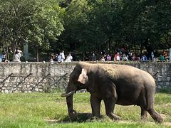 -西安秦岭野生动物园