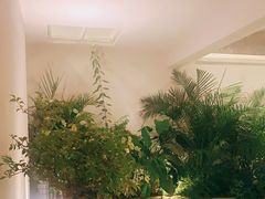 -漫笙舍Manse·咖啡·民宿