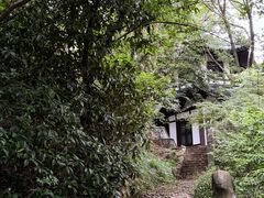 -上海佘山国家森林公园西佘山园