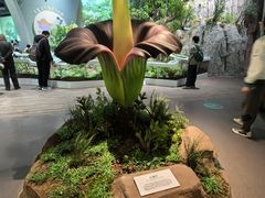 -济南植物园