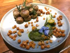 羞羞的蘑菇拳-烛影拾光观景餐厅·创意菜·摄影·小提琴(大唐不夜城店)