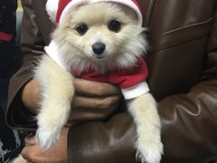 -樱花国际日语(徐家汇中心)