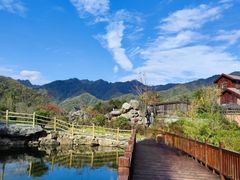 -朝阳沟