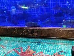 -忆江南·临江鱼馆