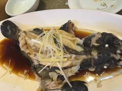 -韩记海鲜饺子旗舰店(红海新区店)