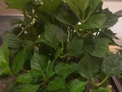 -阿伟海鲜楼·福建菜(涵江店)