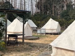 -前小桔亲子创意农场·草莓采摘·露营烧烤