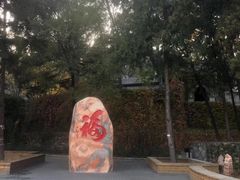 -北京鹫峰国家森林公园