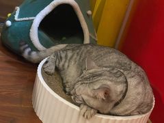 -H立方实景剧情密室(天河旗舰店)