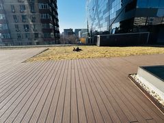 -百好乐宠物友好餐厅(朝外大街店)