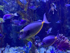 -太平洋海底世界