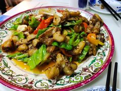 -煲来饱去冷水鱼