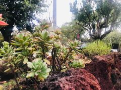 -悦哉·派对·草坪婚礼·围炉煮茶(三圣乡店)