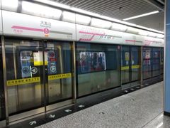 -大龙山(地铁站)