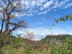-丹山赤水风景名胜区