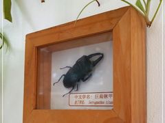 -TIENSTIENS将将(三里屯店)
