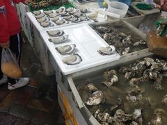 水产区-南沙十九涌渔人码头-南门