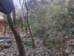-杭州西湖风景名胜区-三生石