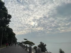 -深圳湾公园(南山区)