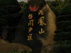 -飞凤山奥体公园