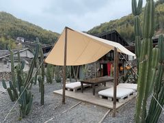 -MOJ coffee(瓯海泽雅水碓坑店)