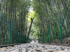 -四门塔风景区