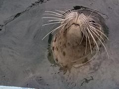 -北戴河圣蓝海洋公园