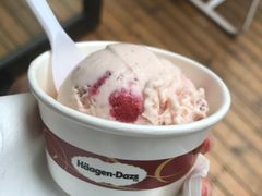 -哈根达斯(武汉天地店)