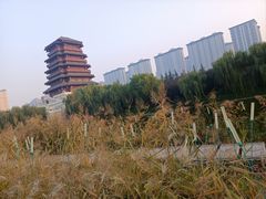-西安汉城湖景区