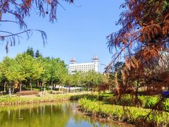 -映月湖公园