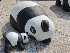 -星光大道