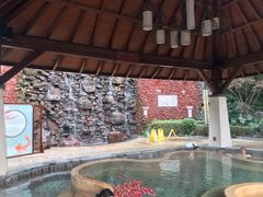 -天目湖涵田半山温泉