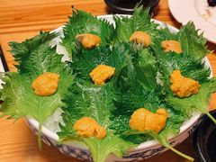 鲜活海胆-王鼎精致料理铁板烧(世博源店)