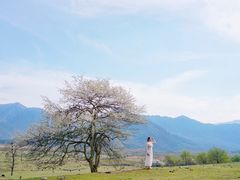 -石棉县孟获城