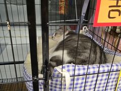 -谜盒子奇幻密室(南屏店)