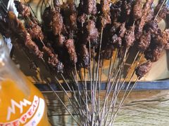 -铁诚烤肉