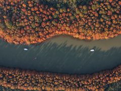 -上海海湾国家森林公园