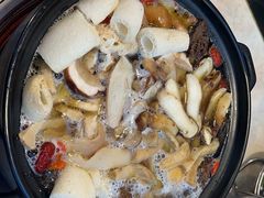 -蘑统田下·野生菌火锅