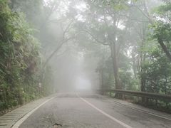 -梧桐山风景名胜区