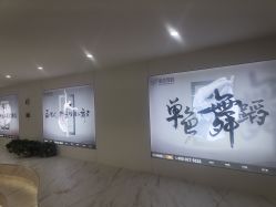 -单色舞蹈