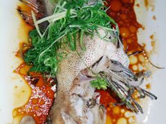清蒸金钱斑-顺德了能馆(虎门店)