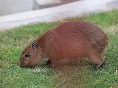 -鄂尔多斯野生动物园