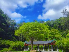 -火炉山森林公园