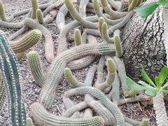 -南山植物园